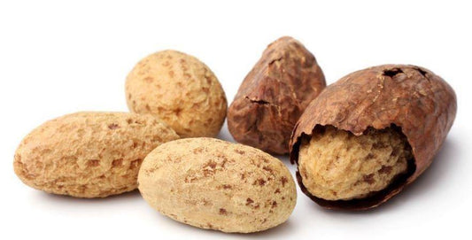 Kola Nut - Nutarium