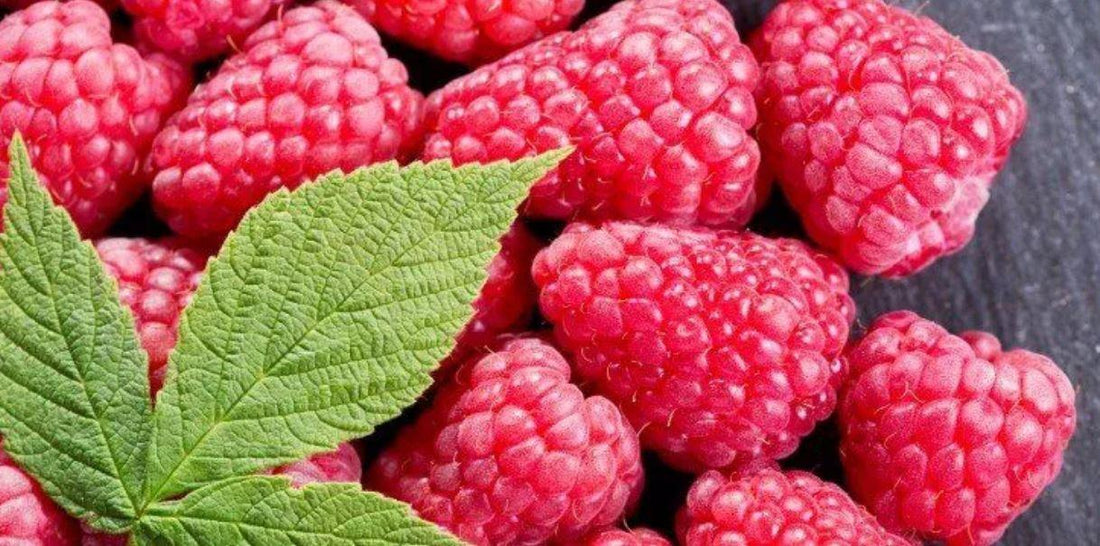Raspberries - Nutarium