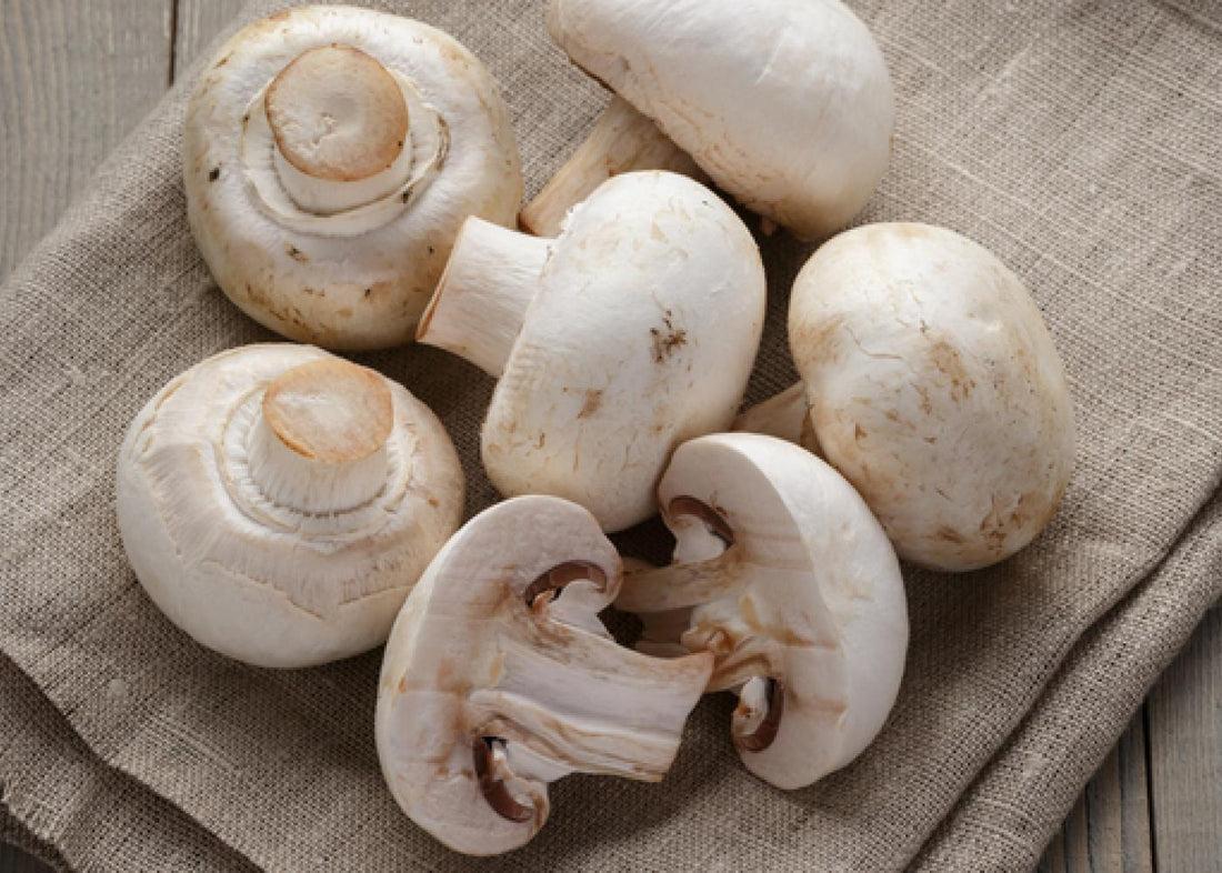 Health Benefits of Mushroom