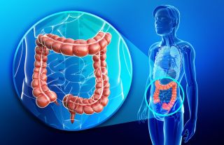 Benefits of Colon Cleanser